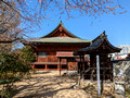 Hida Kokubun-ji Temple Takayama, Japan 23-3L-_3787
