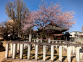 Hida Kokubun-ji Temple Takayama, Japan 23-3P-_0939