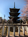 Hida Kokubun-ji Temple Takayama, Japan 23-3P-_0941