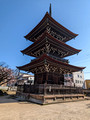 Hida Kokubun-ji Temple Takayama, Japan 23-3P-_0947