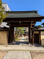 Hida Kokubun-ji Temple Takayama, Japan 23-3P-_0952