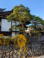 Sanmachi Historical Houses Preserved Area Takayama,  Japan  23-3L-_3755