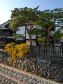 Sanmachi Historical Houses Preserved Area Takayama,  Japan  23-3L-_3756