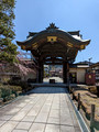 Takayama Betsuin Shorenji Temple Takayama, Japan 23-3P-_1043