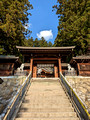 Shinto shrine Takayama,  Japan  23-3L-_3738