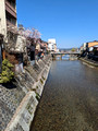 Miyagawa River Takayama, Japan 23-3L-_3855