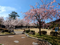 Higashiyamagashi Ryokuchi Park Kanazawa, Japan 23-3L-_3687