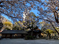 Hiraokano Shrine Kanazawa, Japan 23-3L-_3469