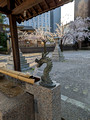 Hiraokano Shrine Kanazawa, Japan 23-3L-_3474