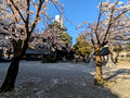Hiraokano Shrine Kanazawa, Japan 23-3P-_0528