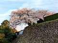 Kanazawa Castle Park Kanazawa, Japan 23-3L-_3337