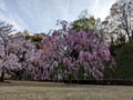 Kanazawa Castle Park Kanazawa, Japan 23-3L-_3334