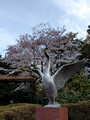 Kenrokuen Garden Kanazawa, Japan 23-3L-_3331