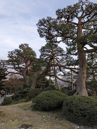 Kenrokuen Garden Kanazawa, Japan 23-3L-_3349