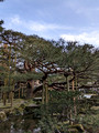 Kenrokuen Garden Kanazawa, Japan 23-3L-_3355