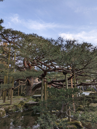 Kenrokuen Garden Kanazawa, Japan 23-3L-_3355