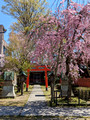 Osaki jinja shrine Kanazawa, Japan 23-3L-_3658