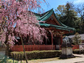 Osaki jinja shrine Kanazawa, Japan 23-3L-_3659