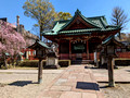 Osaki jinja shrine Kanazawa, Japan 23-3L-_3657