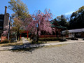 Osaki jinja shrine Kanazawa, Japan 23-3P-_0780