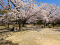 Tamagawa Park Kanazawa, Japan 23-3P-_0775