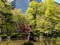 Hibiya Park Tokyo, Japan 23-3L-_3444