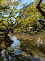 Hibiya Park Tokyo, Japan 23-3L-_3446