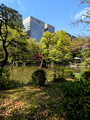 Hibiya Park Tokyo, Japan 23-3P-_0510