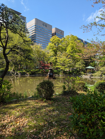 Hibiya Park Tokyo, Japan 23-3P-_0510