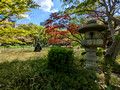 Hibiya Park Tokyo, Japan 23-3P-_0515