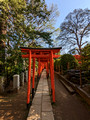 Nezu Shrine Tokyo, Japan 23-3L-_3251