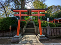 Nezu Shrine Tokyo, Japan 23-3L-_3258