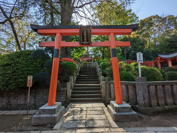 Nezu Shrine Tokyo, Japan 23-3L-_3258