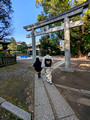 Nezu Shrine Tokyo, Japan 23-3P-_0284