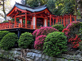 Nezu Shrine Tokyo, Japan 23-3P-_0285