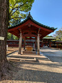 Nezu Shrine Tokyo, Japan 23-3P-_0288