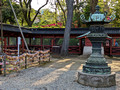 Nezu Shrine Tokyo, Japan 23-3P-_0292
