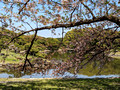 Hamarikyu Gardens Tokyo, Japan 23-3P-_0377