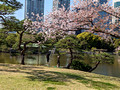 Hamarikyu Gardens Tokyo, Japan 23-3P-_0378