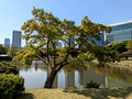 Hamarikyu Gardens Tokyo, Japan 23-3P-_0382