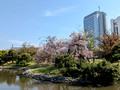 Hamarikyu Gardens Tokyo, Japan 23-3L-_3322