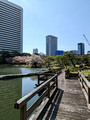 Kyu Shiba Rikyu Garden  Tokyo, Japan 23-3L-_3287