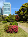 Kyu Shiba Rikyu Garden  Tokyo, Japan 23-3L-_3286