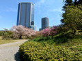 Kyu Shiba Rikyu Garden  Tokyo, Japan 23-3P-_0333
