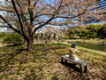 Kyu Shiba Rikyu Garden  Tokyo, Japan 23-3P-_0335