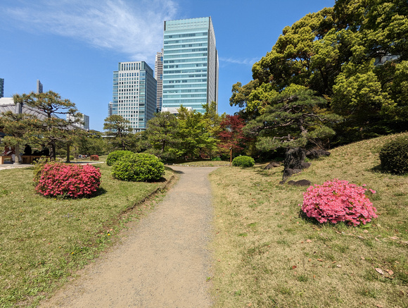 Kyu Shiba Rikyu Garden  Tokyo, Japan 23-3P-_0337