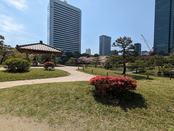 Kyu Shiba Rikyu Garden  Tokyo, Japan 23-3P-_0339