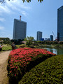 Kyu Shiba Rikyu Garden  Tokyo, Japan 23-3P-_0340