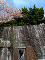 Mizumoto Park  Tokyo, Japan 23-3L-_3171