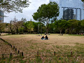Shinjuku Central Park Tokyo, Japan 23-3P-_0051